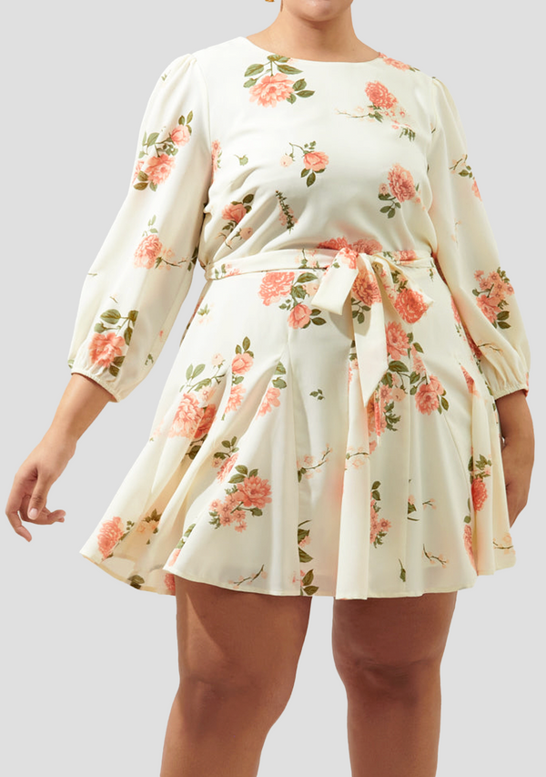 Floral print plus size dress